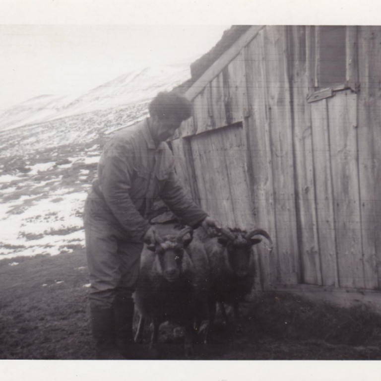 Jökulls grandfather