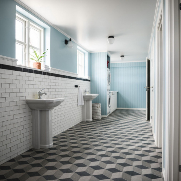 Lower lever with 2 toilets, 2 showers, washer/dryer and gear area