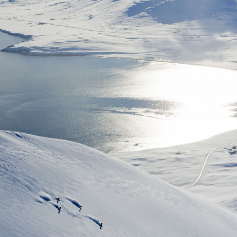 A group skiers enjoying a powder lap above the town of Dalvík ©Michael Neumann