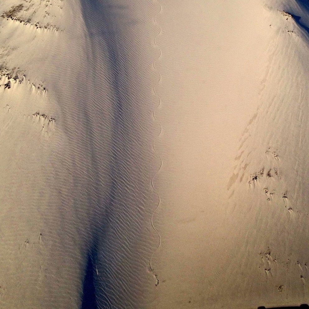 Heliskiing in Iceland